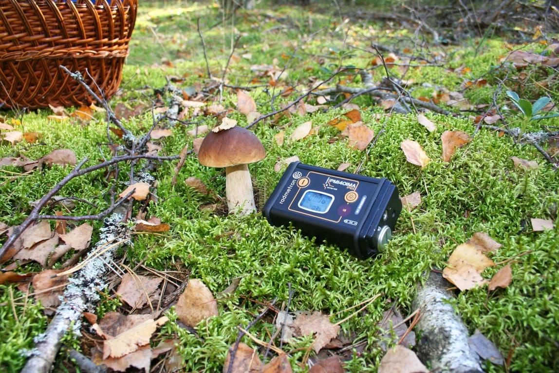 ИСП-РМ1401МА Измеритель-сигнализатор поисковый микропроцессорный - 3