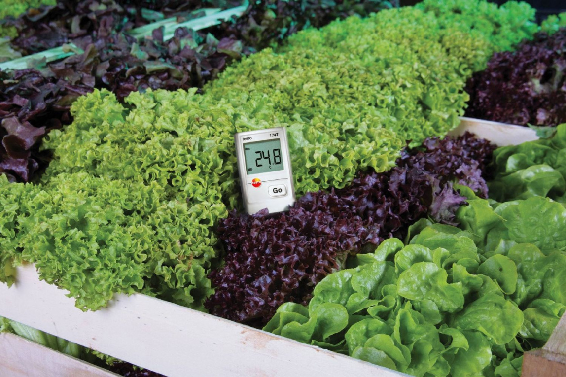 Логгер Testo 174T с USB-интерфейсом - 5