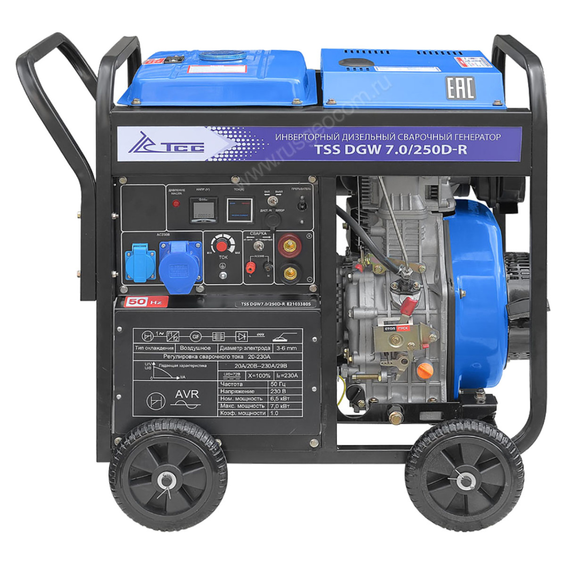 Сварочный генератор TSS DGW 7.0/250D-R - 1