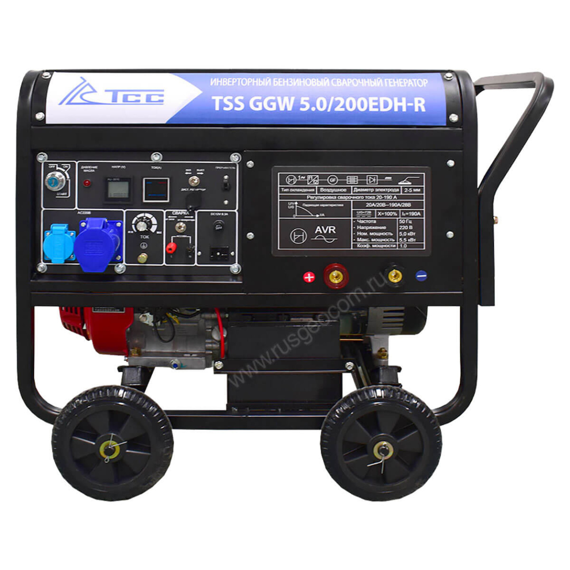 Сварочный генератор TSS GGW 5.0/200EDH-R - 1