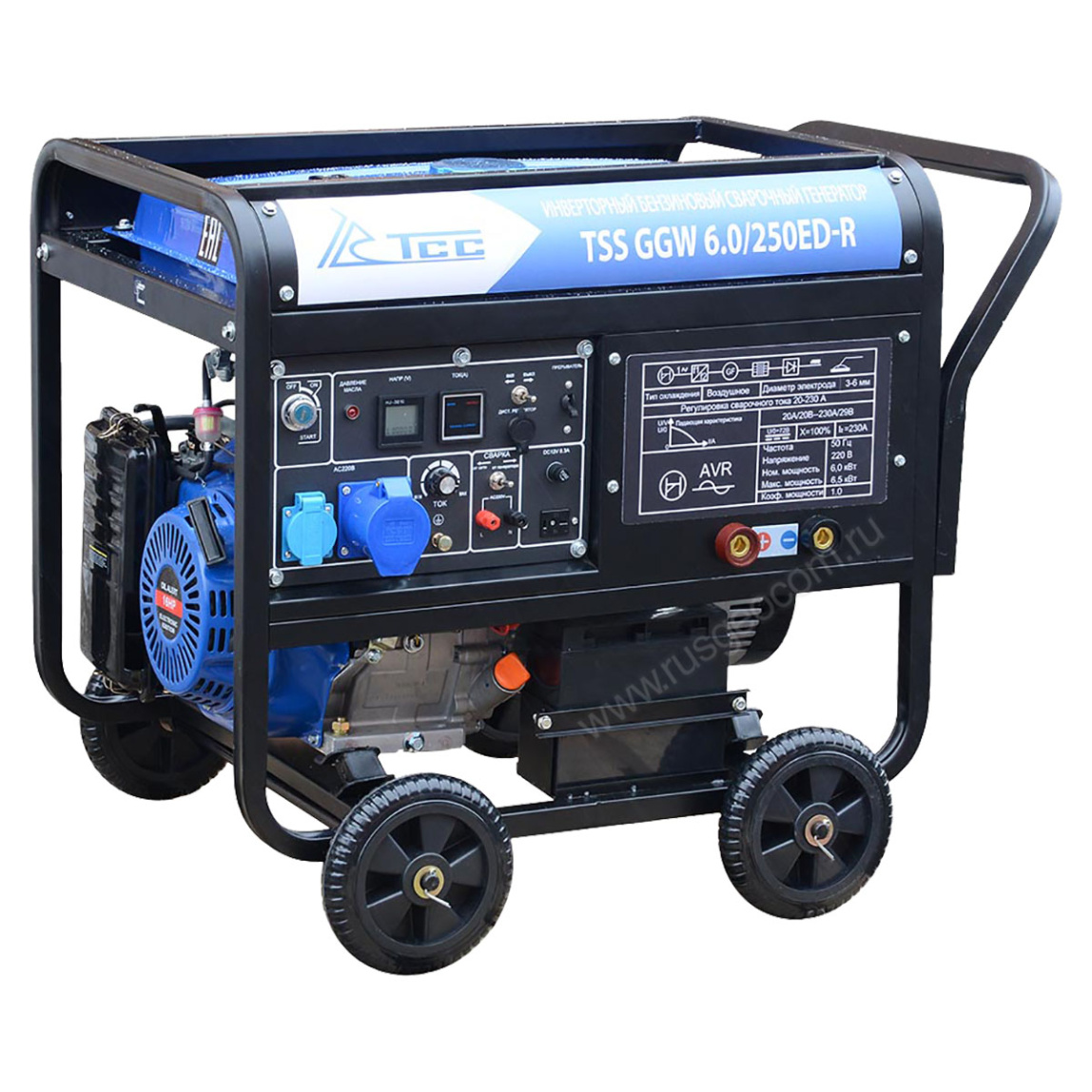 Сварочный генератор TSS GGW 6.0/250ED-R - 1
