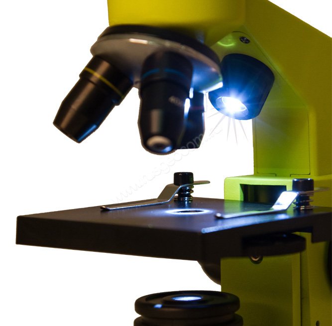 Микроскоп Levenhuk Rainbow 2L Lime (Лайм) - 5