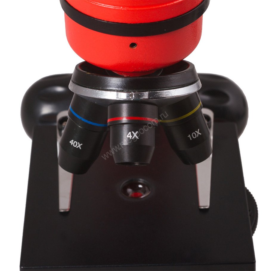 Микроскоп Levenhuk Rainbow 2L Orange (Апельсин) - 4