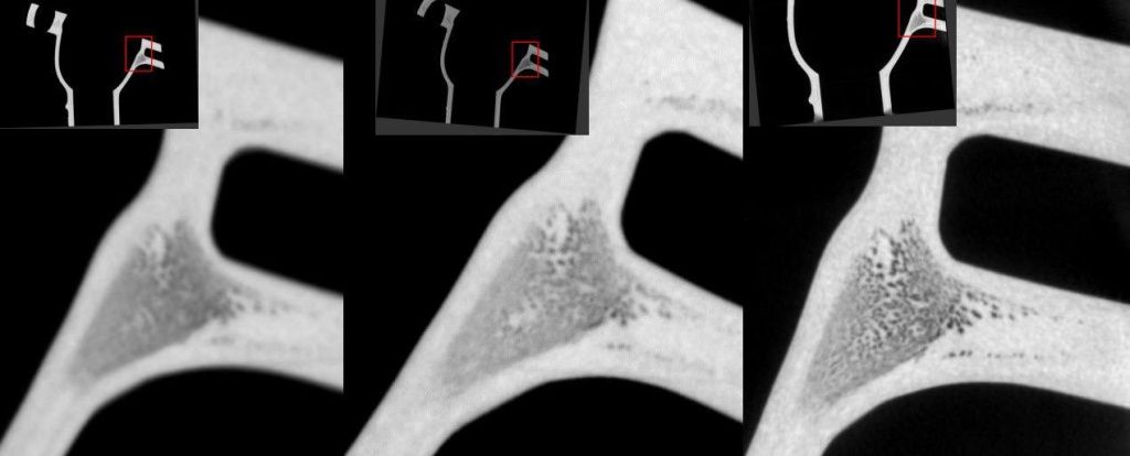 photo_2025-12-04_06-34-22 (2).jpg